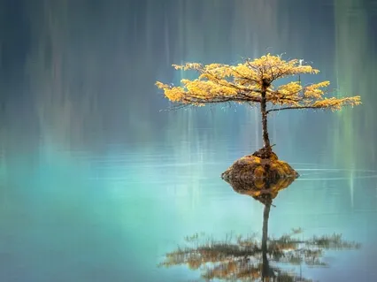 Reconnecting Your Energy-Centers With Love And Wisdom