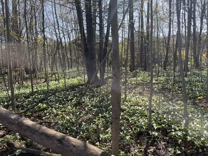 Recovering From Betrayals, Heartbreak, Painful Endings