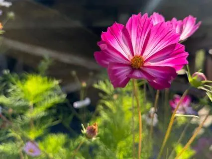 Recovering From Stress: 3 Styles Of Breath Work