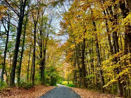 Recovering Peace After Loss