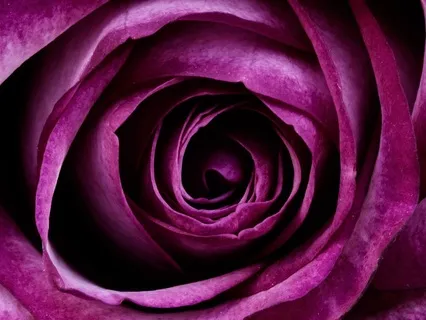 Recovering Self-Worth While You Sleep