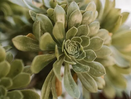 Recovering Sensitiveness