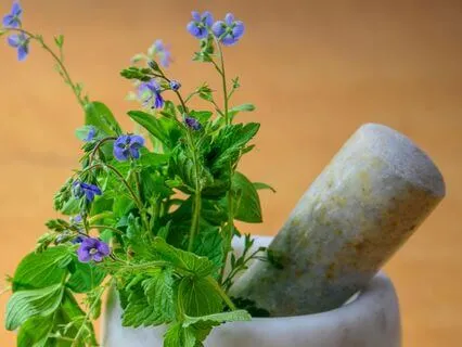 Recovery For Burnout & Chronic Fatigue