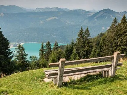 Recovery From Traumatic Relationship Sleep