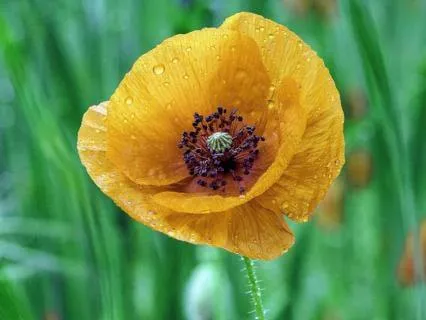 Self-Love Meditation