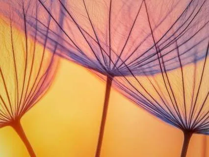 Redefining Change With Open Awareness