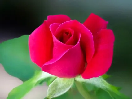 Redefining Love For True Connection: Agape