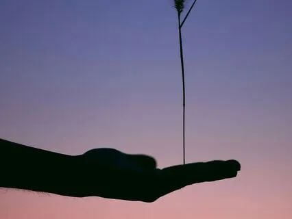 Redefining Masculine Energy: Balance And Presence