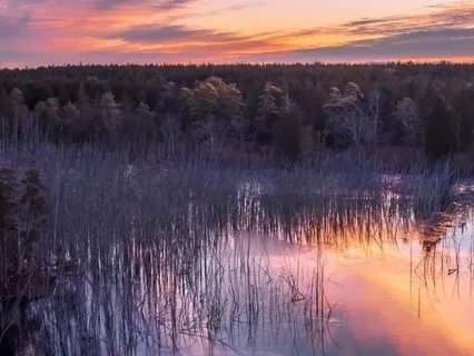 Redesigning Anxiety: A Paraliminal Meditation