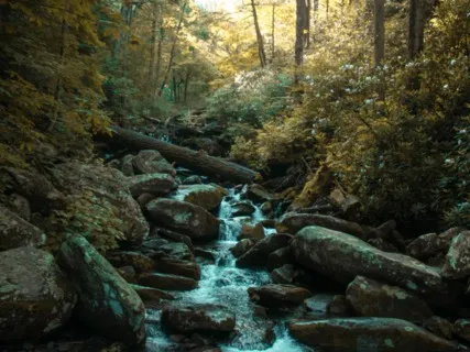 Redesigning Your Life 