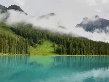 Rediscover Your Inner Ally: Embrace Self-Connection