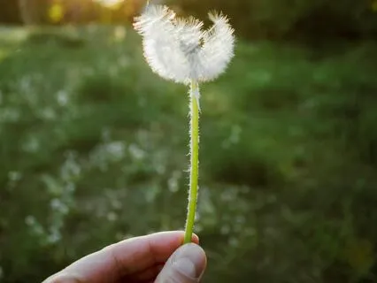 Rediscover Your Sense Of Calm