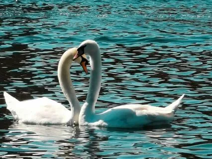 Rediscovering Positivity: A Meditation Practice For Couples