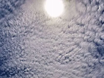 Rediscovering Purpose And Meaning