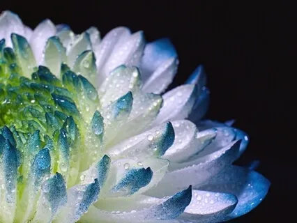 Reduce Anxiety And Stress - Crystal Bowl Sound Bath