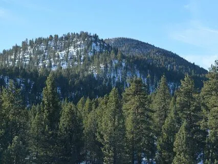 Reduce Anxiety: Golden Light Relaxation