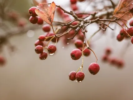 Reduce Anxiety Quickly & Simply 