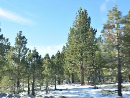 Reduce Anxiety With Calming Visualization Meditation