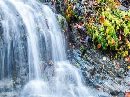 Reduce Inflammation (Brain Entrainment)