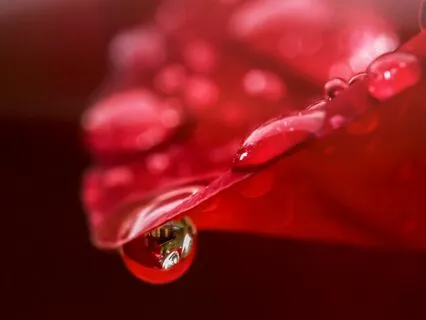 Reduce Menstrual Pain & Celebrate Your Cycle!