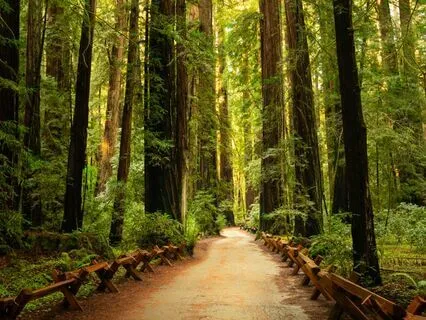 Reduce Overwhelm As You Drift Off To Sleep