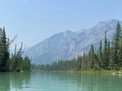 Reduce Stress And Anxiety: Calm Your Mind