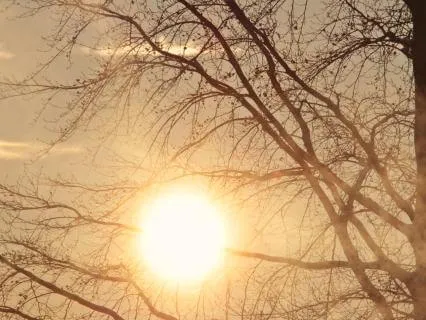 Reduce Stress:  Four Awareness Practice (Without Intro)