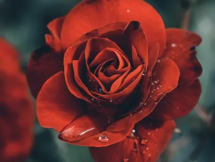 Reducing Anxiety For Sleep With Ambience, Harp & Raindrops