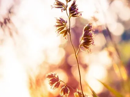 Reducing Anxiety & Stress