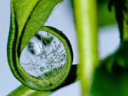 Reducing Anxiety With Healing Sound Waves