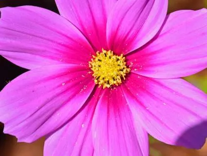 Reducing Birth Anxiety-Birth With Trust, Even In The Unknown