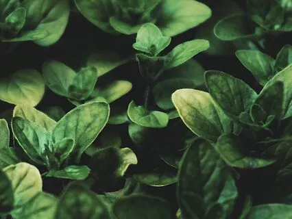 Reducing Panic And Anxiety With 432 Hz