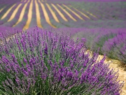 Reducing Your Anxiety By Creating Healthy Boundaries -Talk