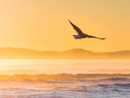 Re-Energize Your Breath And Body