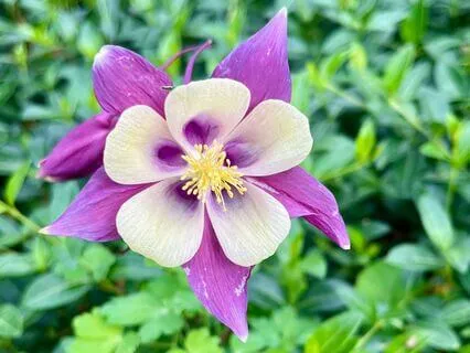 Refill Your Creative Well