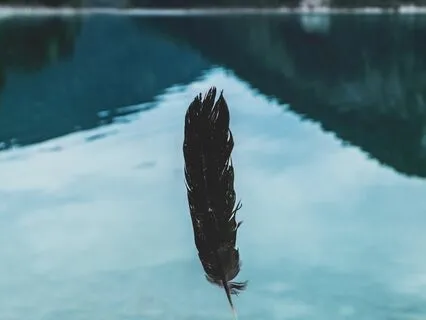 Reflect And Release Meditation