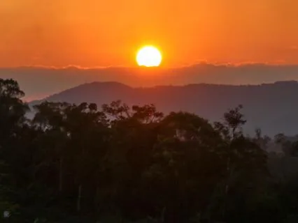 Reflect On The Past Year And Cultivate Gratitude