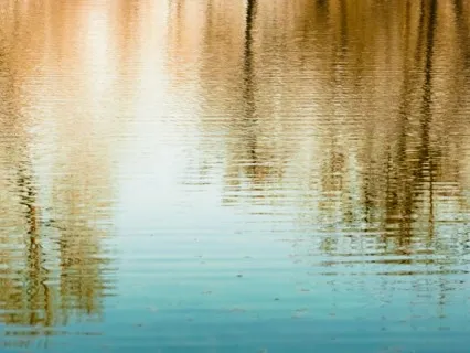 Reflect, Release & Reset For An Amazing 2021