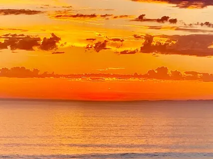 Reflecting Nature. Healing You.