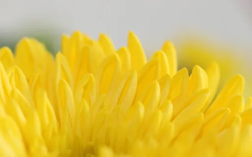 Reflecting On A Positive Future