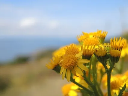 Reflecting On An Anniversary With COVID