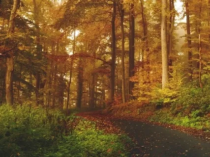 Reflecting On Bernstein's Healthy Adult Mode