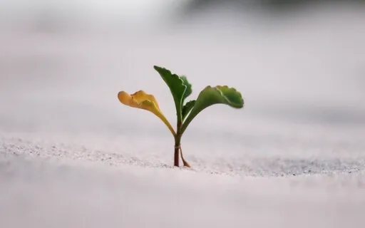 Reflecting On Intention