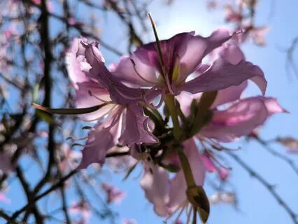 Reflecting On The Last 12 Months With Gratitude