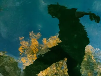 Reflecting on the Nature of Things | Meditative Piano Sounds