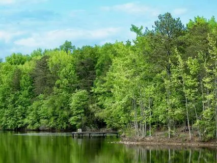 Reflecting Waters