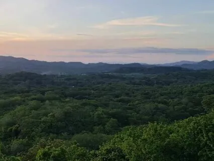 Reflection: Affirmations To Accompany The Song Goddess Code