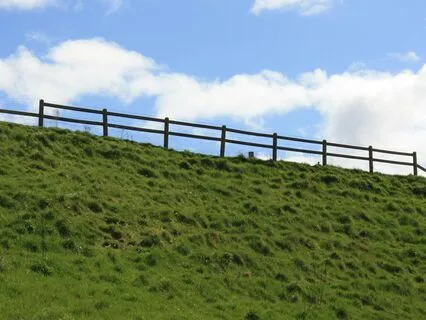 Reflection For Intention Setting And Blooming Insights