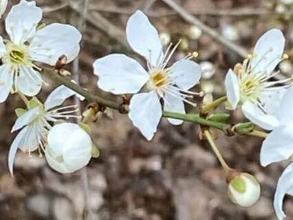 Reflection: Healing The Collective Trauma Of The Pandemic