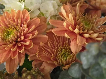 Reflection In Gratitude And Presence